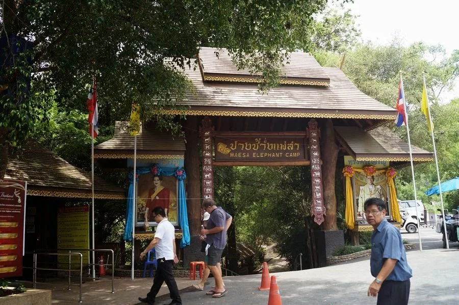 Maese Elephant park Chiang mai