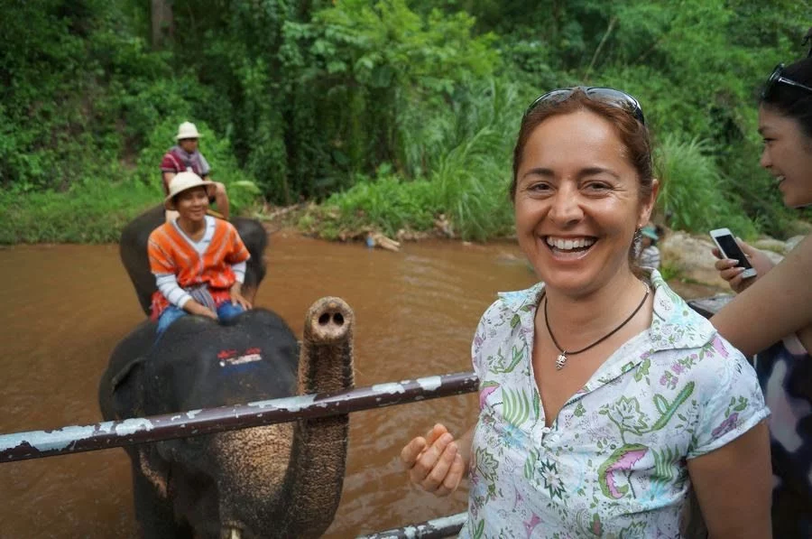 Tiger Kingdom y Elephant Park