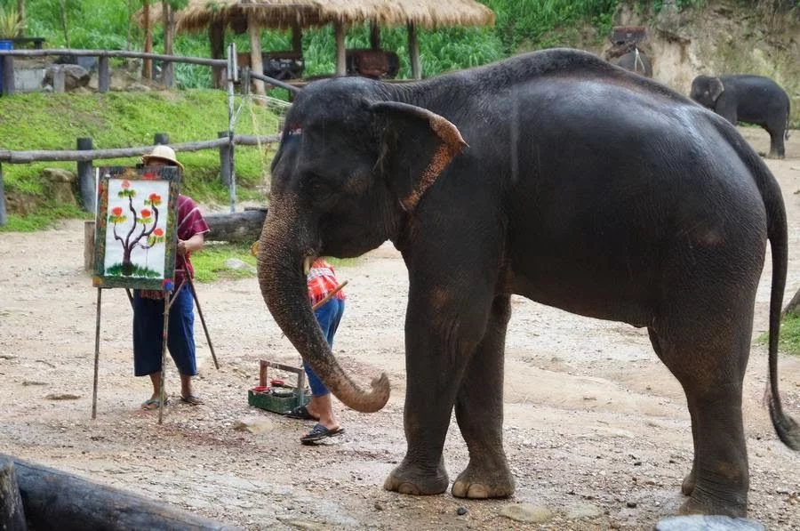 Elefantes pintores