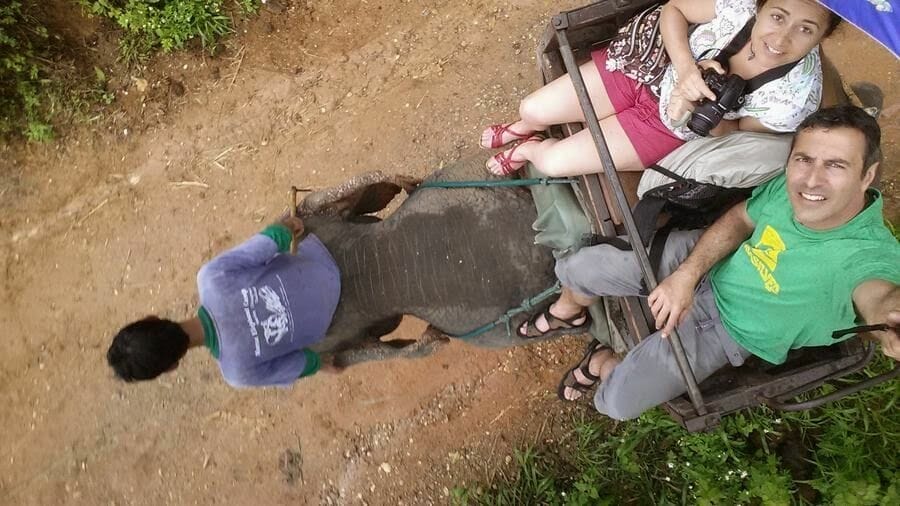 Paseo en elefante (Elephant Park Chiang Mai)