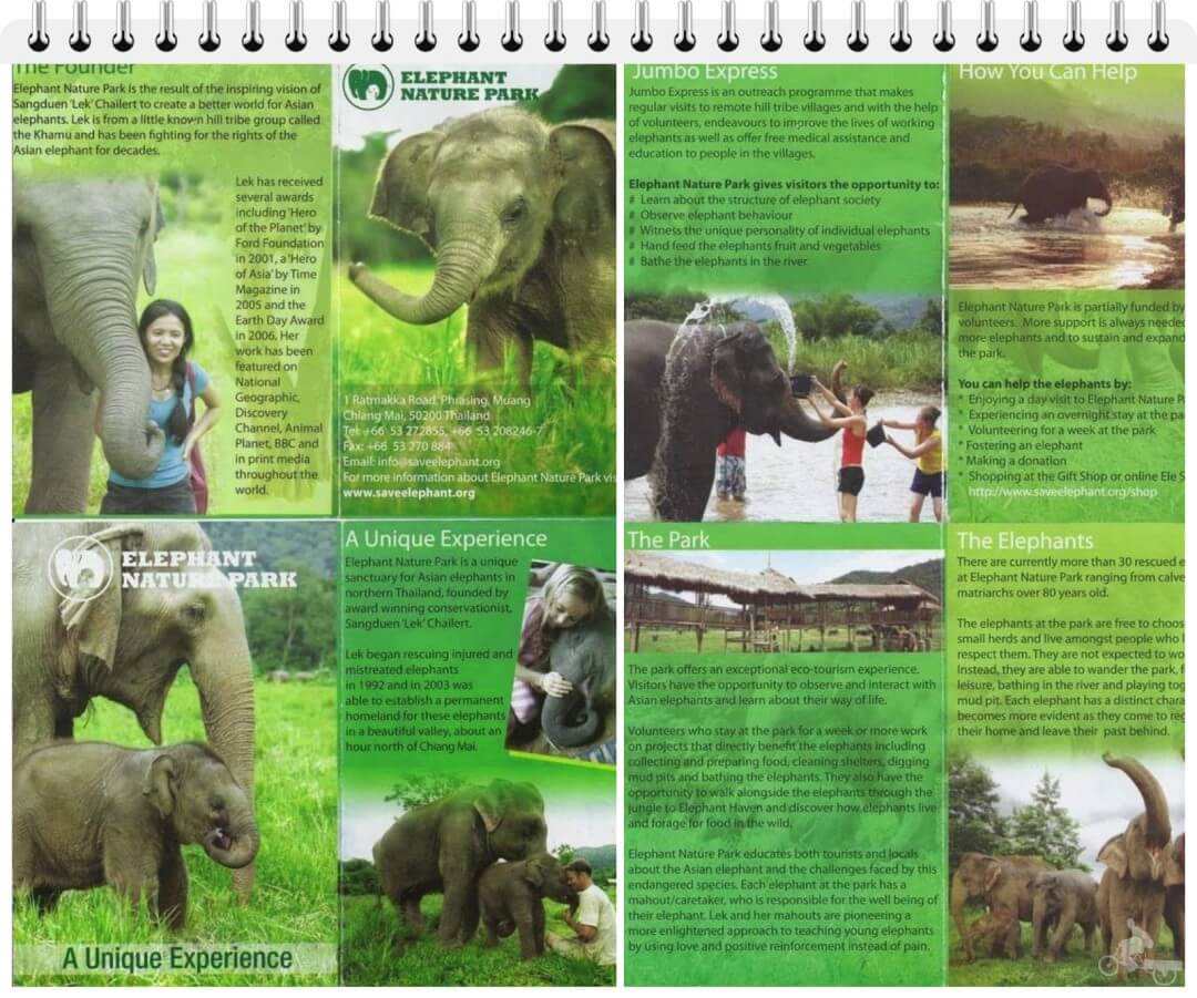 elephant nature park chiang mai