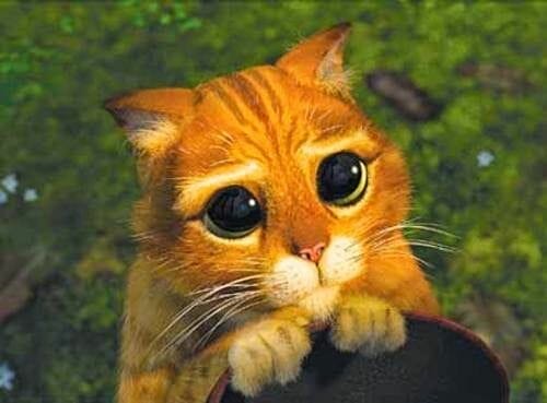 cara gato con botas de Shrek