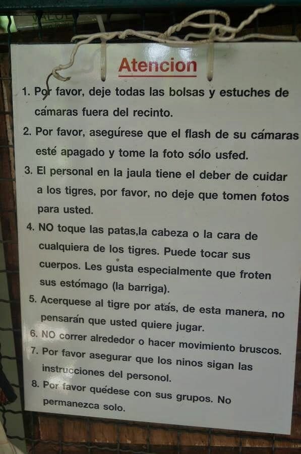 Reglas Tiger Kingdom 