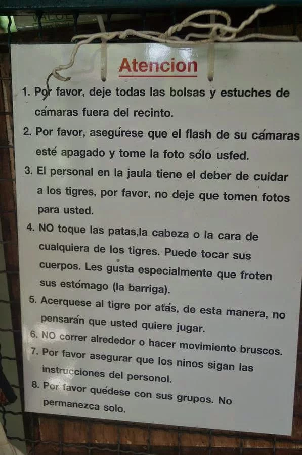 Reglas Tiger Kingdom 