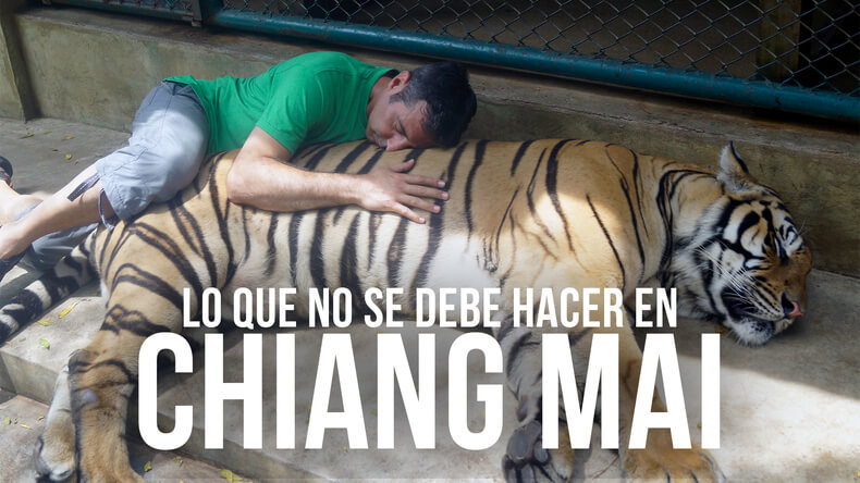 Lo que no se debe hacer en Chiang Mai (Tiger Kingdom y Elephant Park)