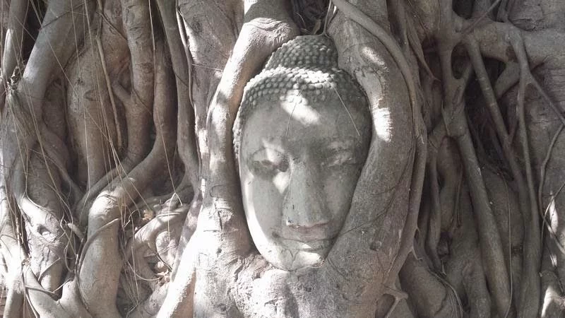 Buda Wat Mahathat