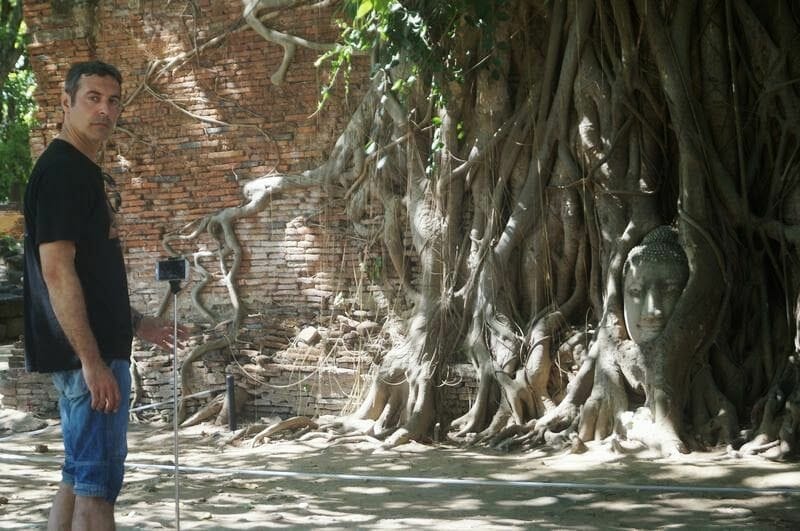 Wat Mahathat cabeza buda entre raices
