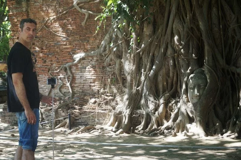 Wat Mahathat cabeza buda entre raices