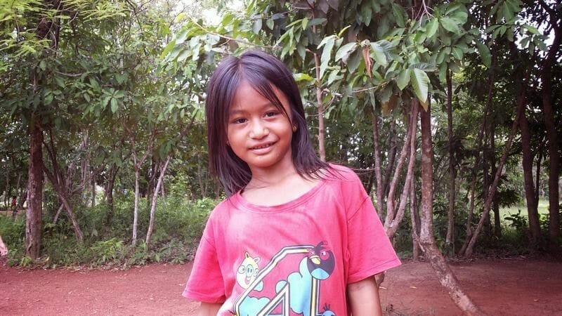 vendedora de piñas camboya