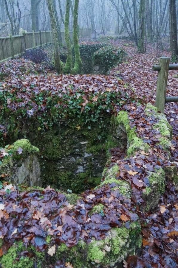 trincheras Verdun