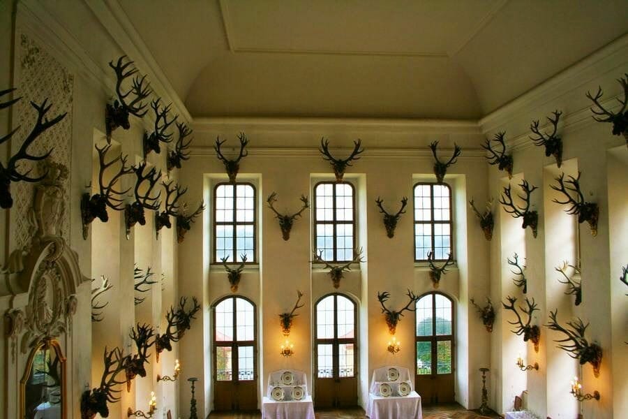 Castillo de Moritzburg cuernos ciervos sala