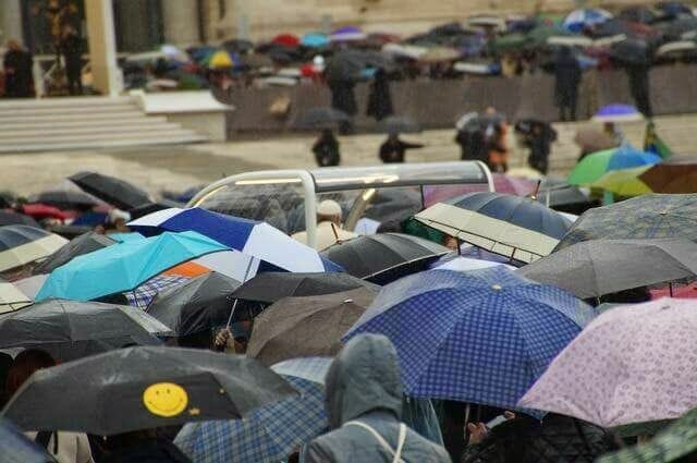 audiencia del papa en el vaticano