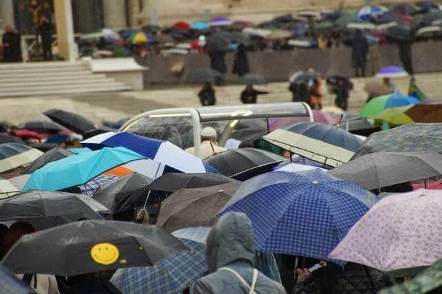 audiencia del papa en el vaticano