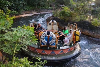 KALI RIVER RAPIDS animal kingdom