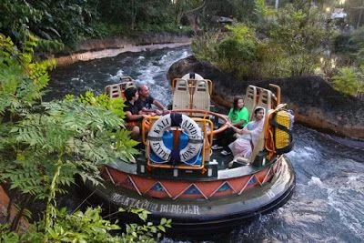 KALI RIVER RAPIDS animal kingdom