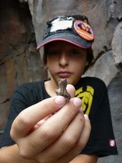 Disney Animal kingdom Orlando, Guille con minidinosaurio