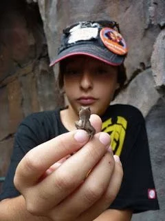 Disney Animal kingdom Orlando, Guille con minidinosaurio