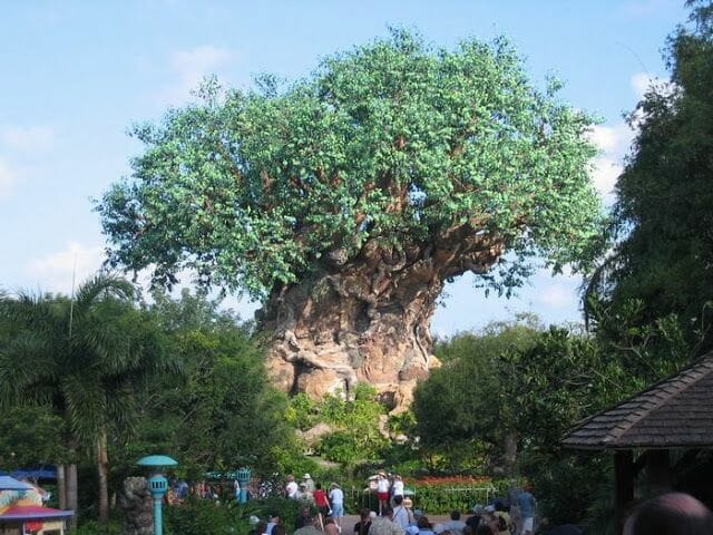 arbol de la vida animal kingdom