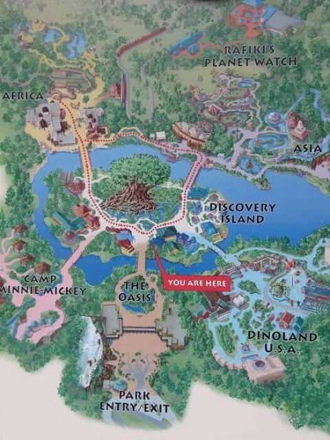 plano orlando animal kingdom