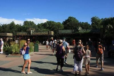 Disney Animal kingdom Orlando, entrada