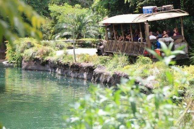 KILIMANJARO SAFARI