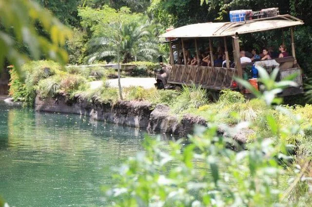 KILIMANJARO SAFARI