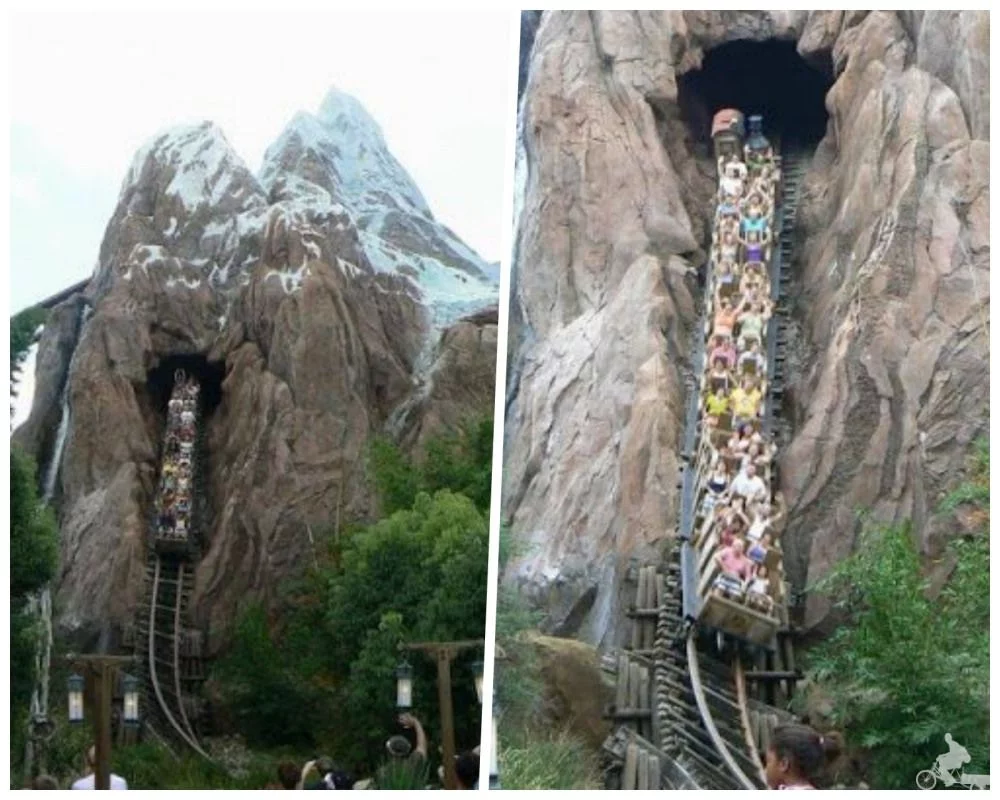 expedicion everest animal kingdom