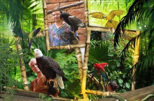 FLIGHTS OF WONDER