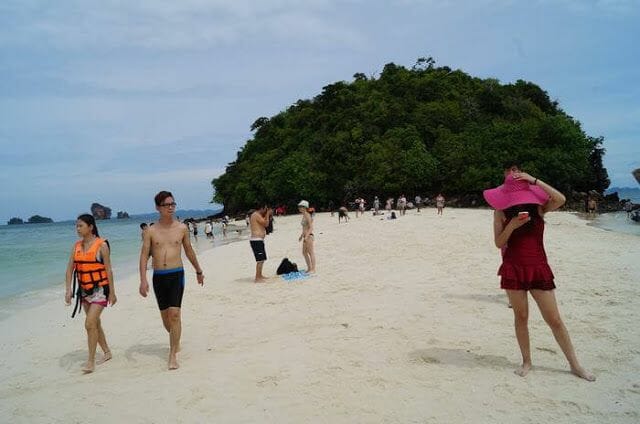 Chicken Island