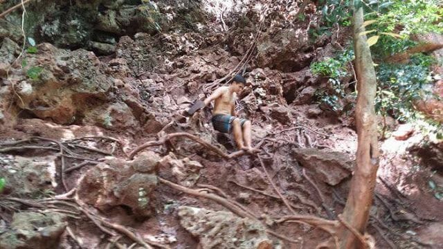 bosque 4 islands Tailandia