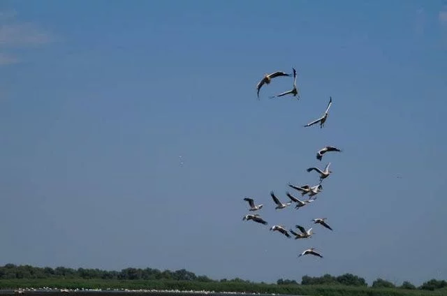 Delta del Danubio