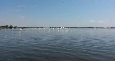 Delta del Danubio