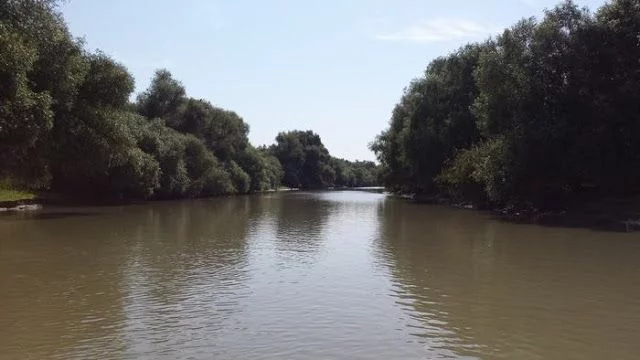 Delta del Danubio
