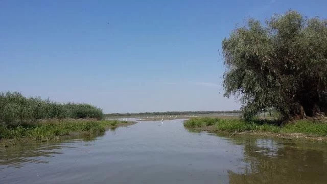 Delta del Danubio lago