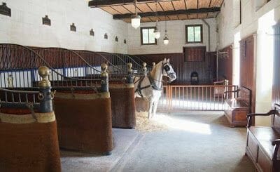 caballos Castillo de Chaumont-sur-Loire