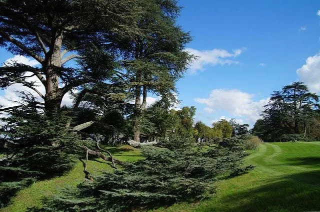 castillo y del Festival Internacional de los jardines de Chaumont