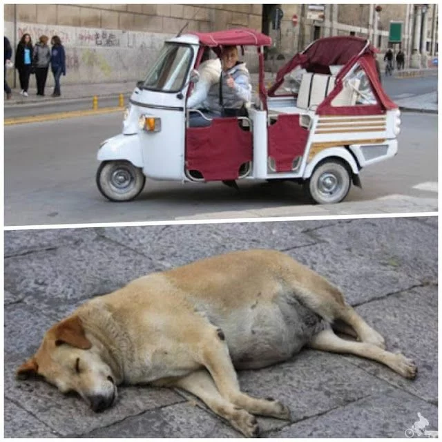 imagenes de Palermo