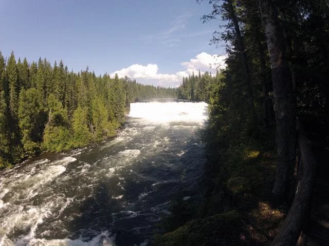 Dawson falls