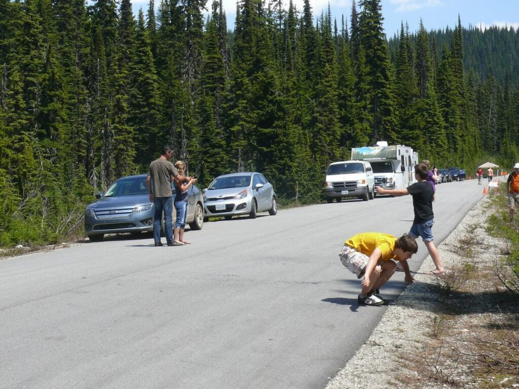 Monte Revelstoke