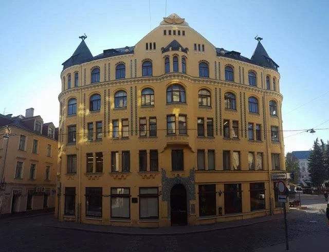 la casa de los gatos