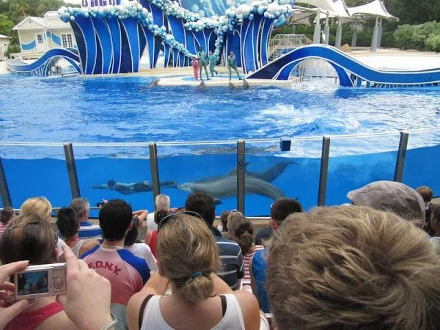 BLUE HORIZONS sea world orlando