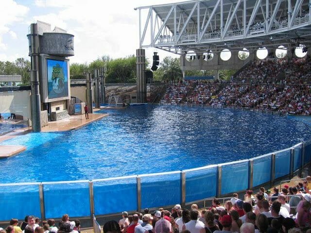 espectáculo de orcas en Sea World de San Diego piscina grande