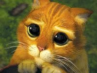 gato con botas de Shrek con cara de pena