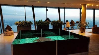 mirador torre adam