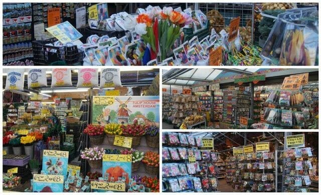 VISITA GUIADA POR AMSTERDAM