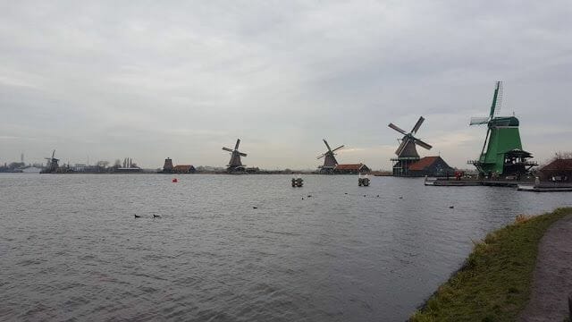 varios molinos de zaanse schans