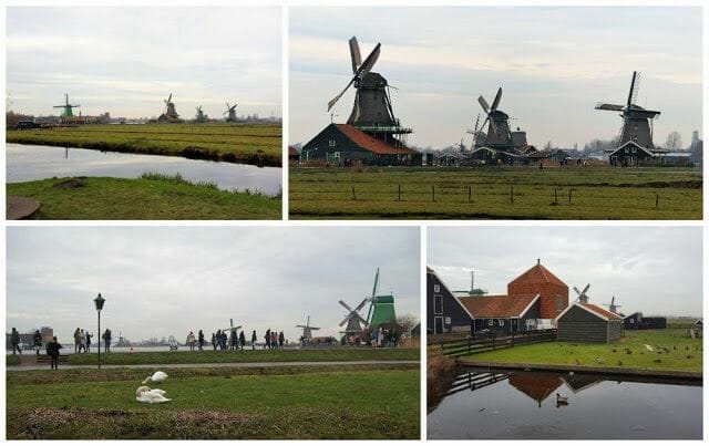 molinos de holanda