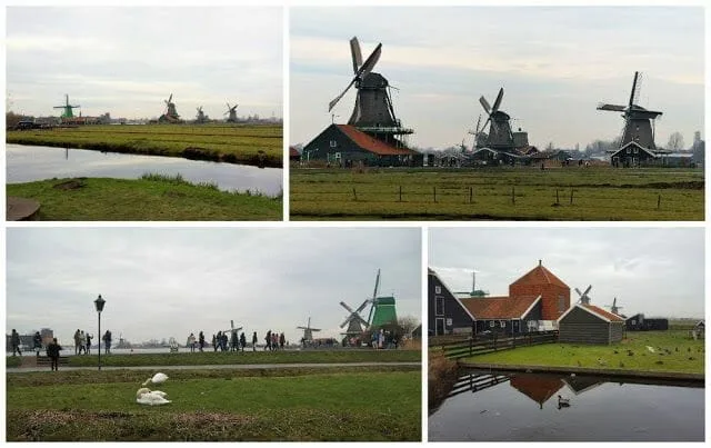 molinos de holanda