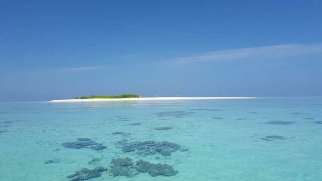 isla Odagalla