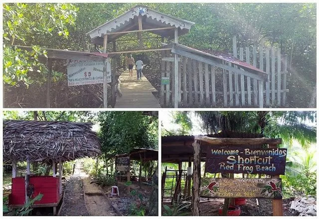 entrada playa red frog